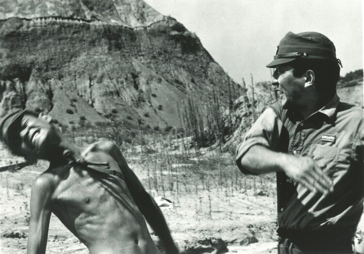 肉弹剧照的剧照