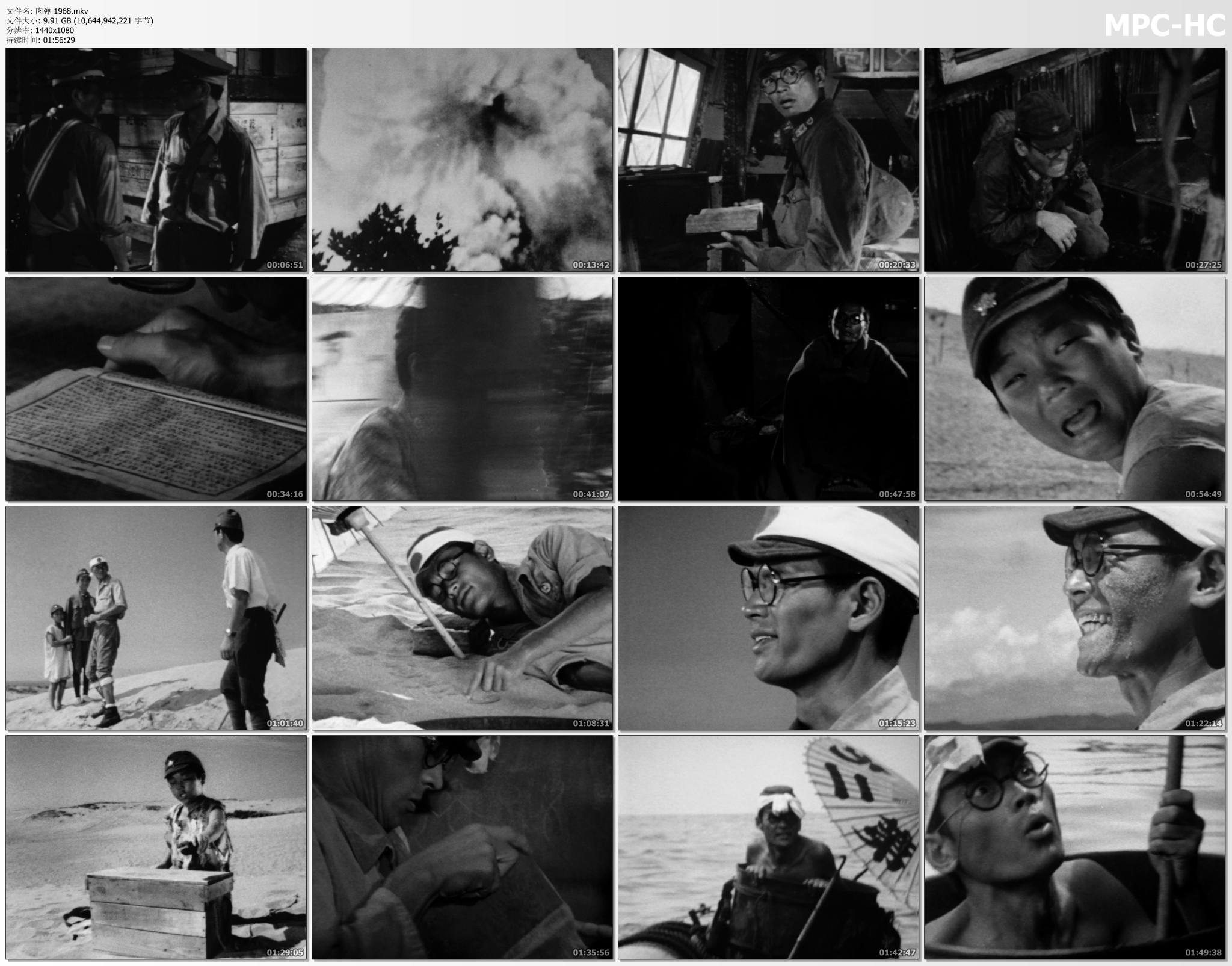 肉弹剧照的剧照