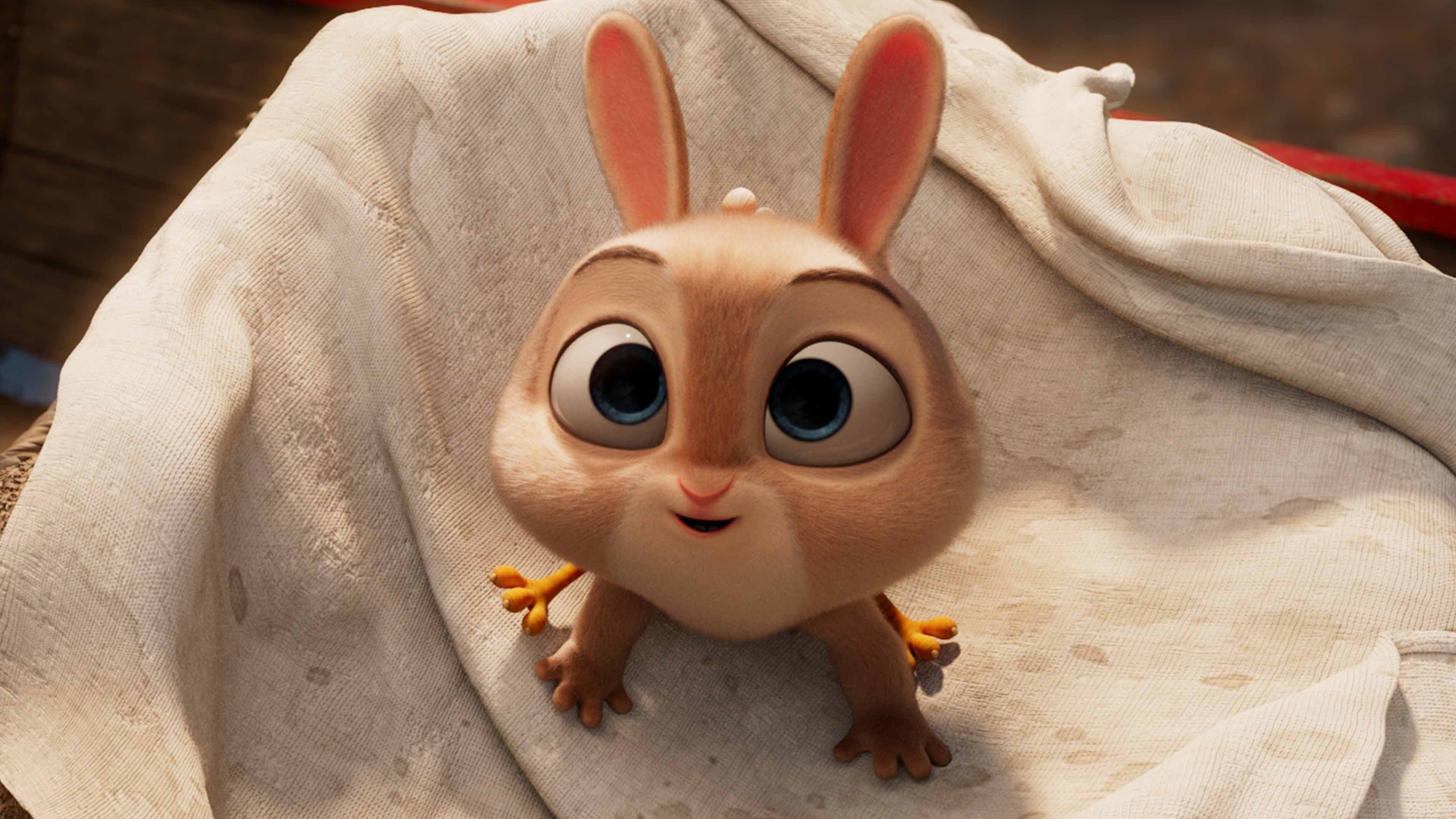 鸡兔英雄与暗黑仓鼠剧照的剧照