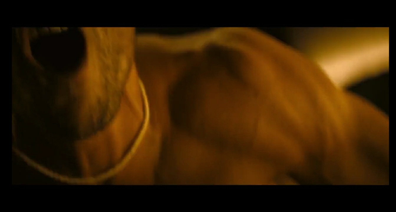 窒恋剧照的剧照