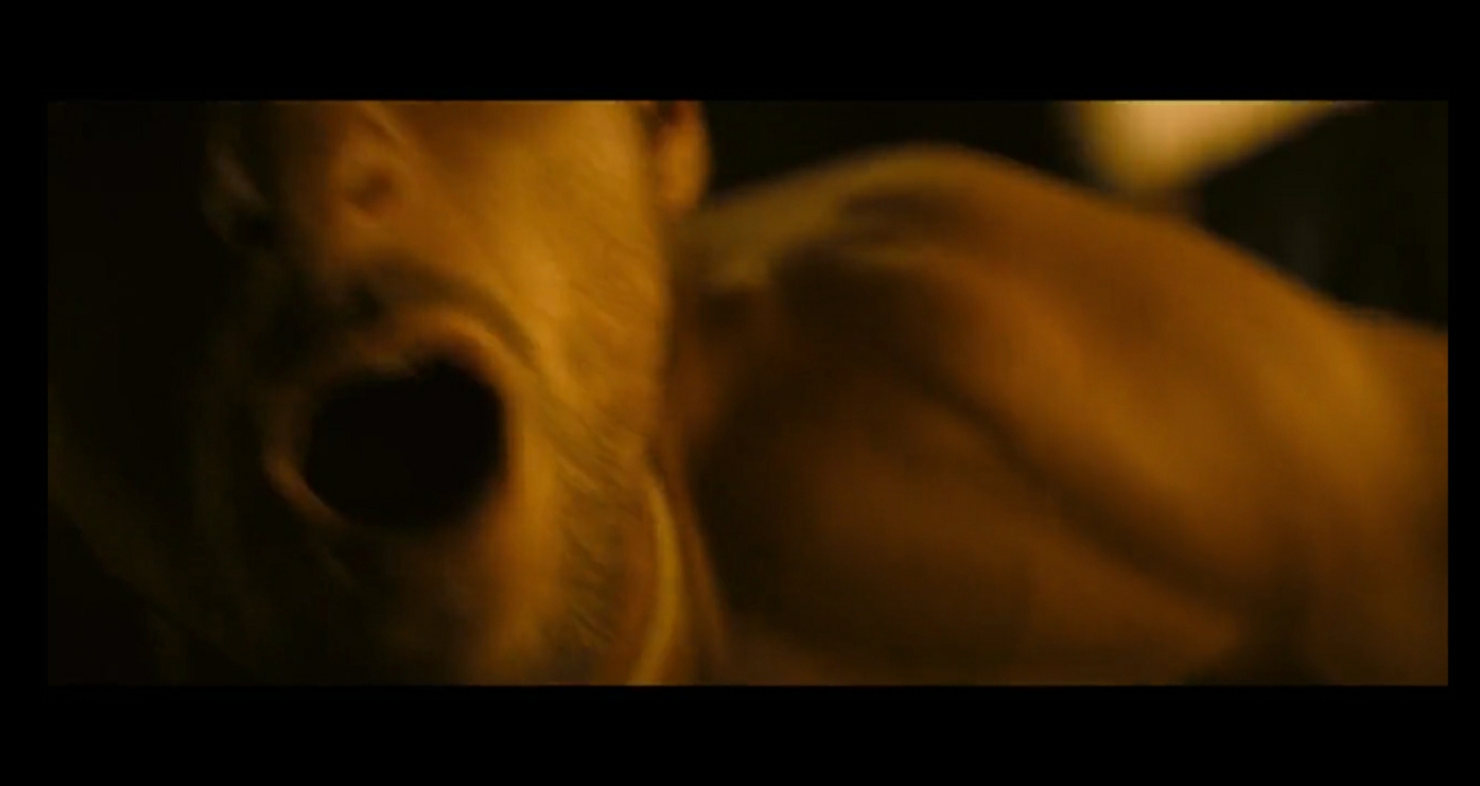 窒恋剧照的剧照