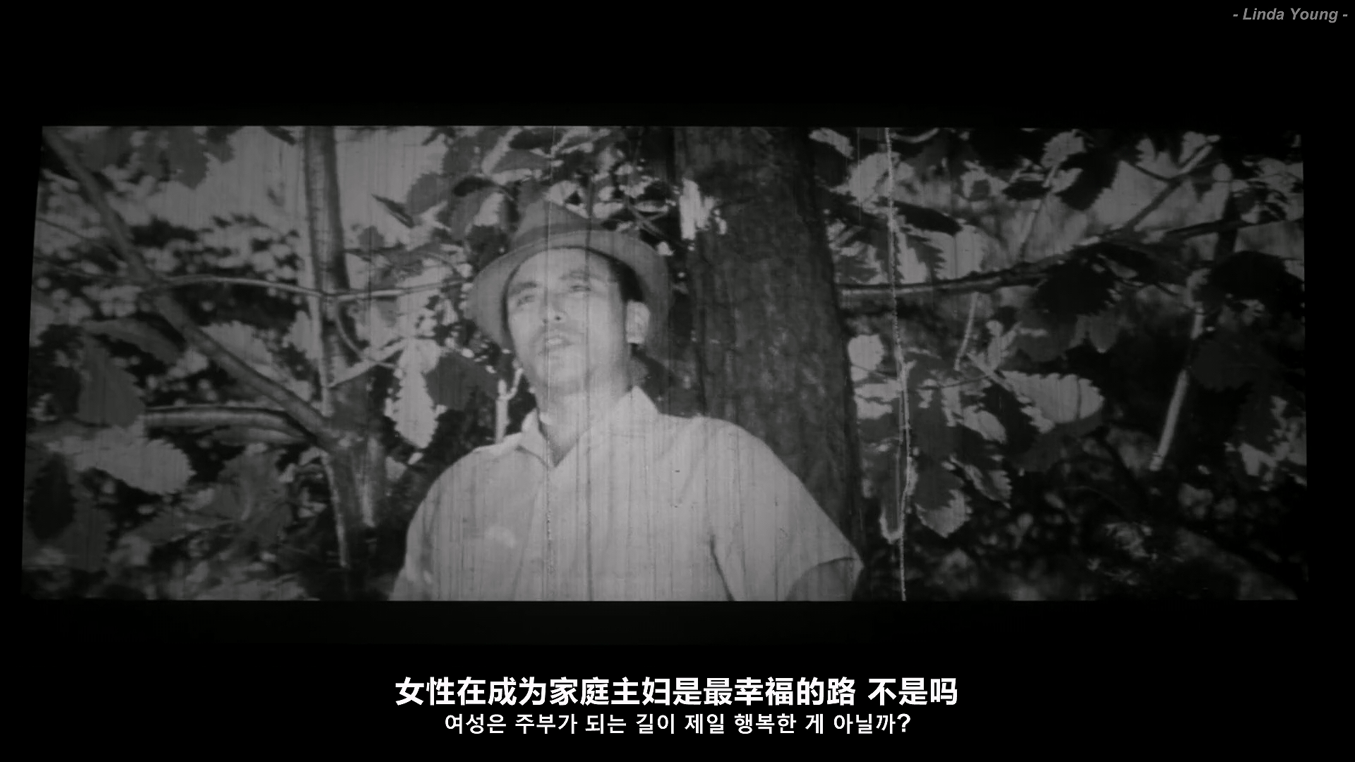 致敬剧照的剧照