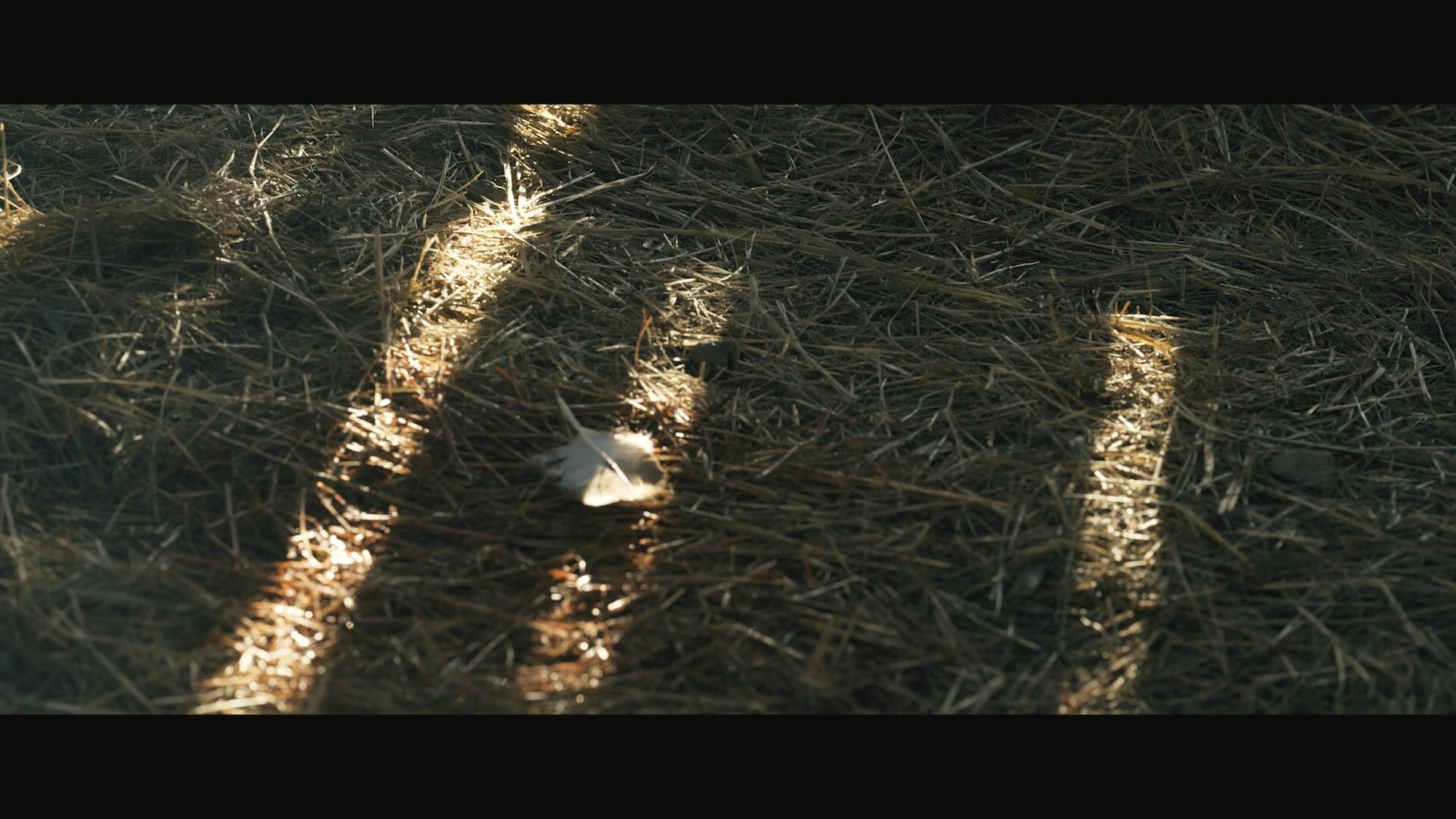 黄石镇谋杀案剧照的剧照