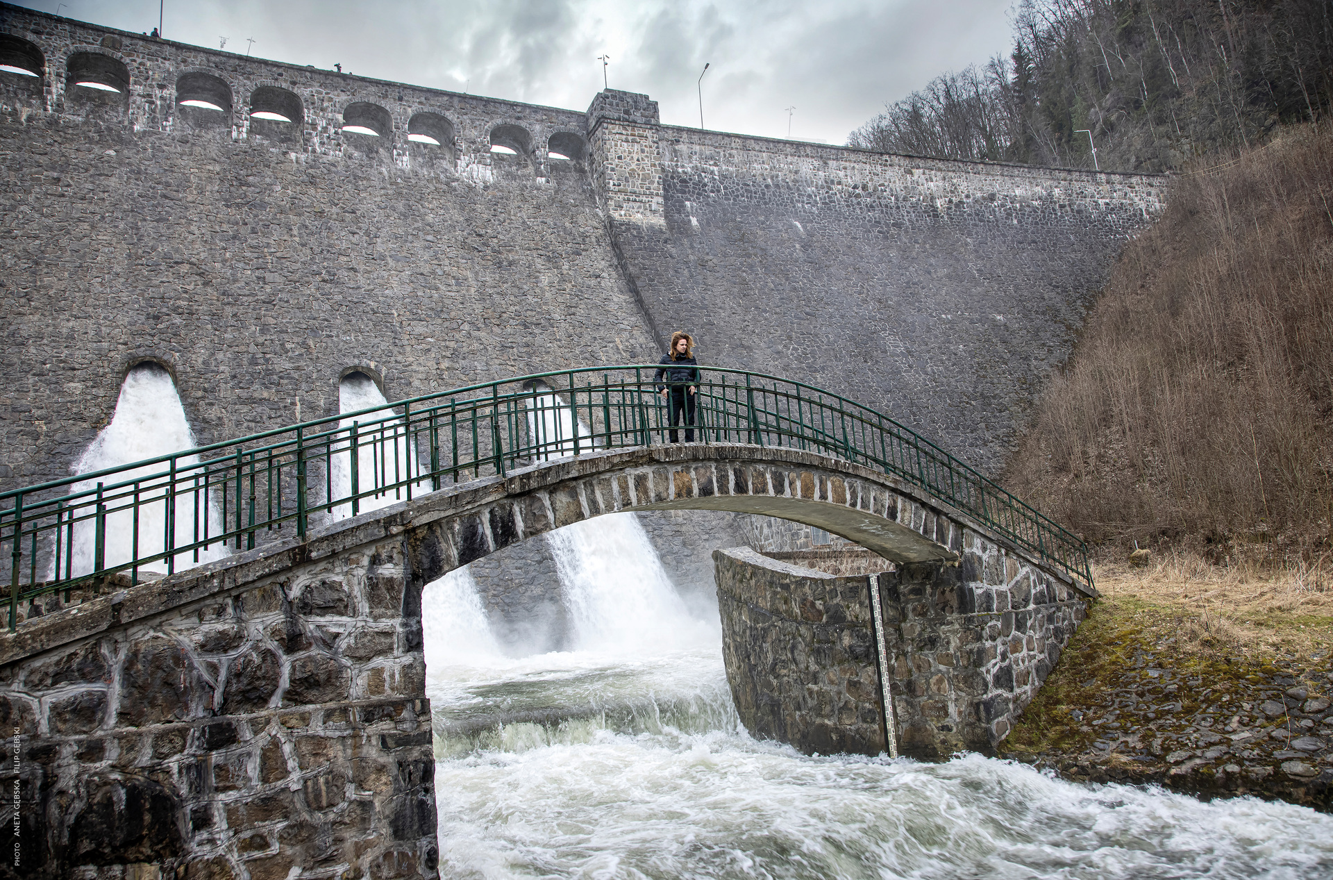 驴叫剧照的剧照