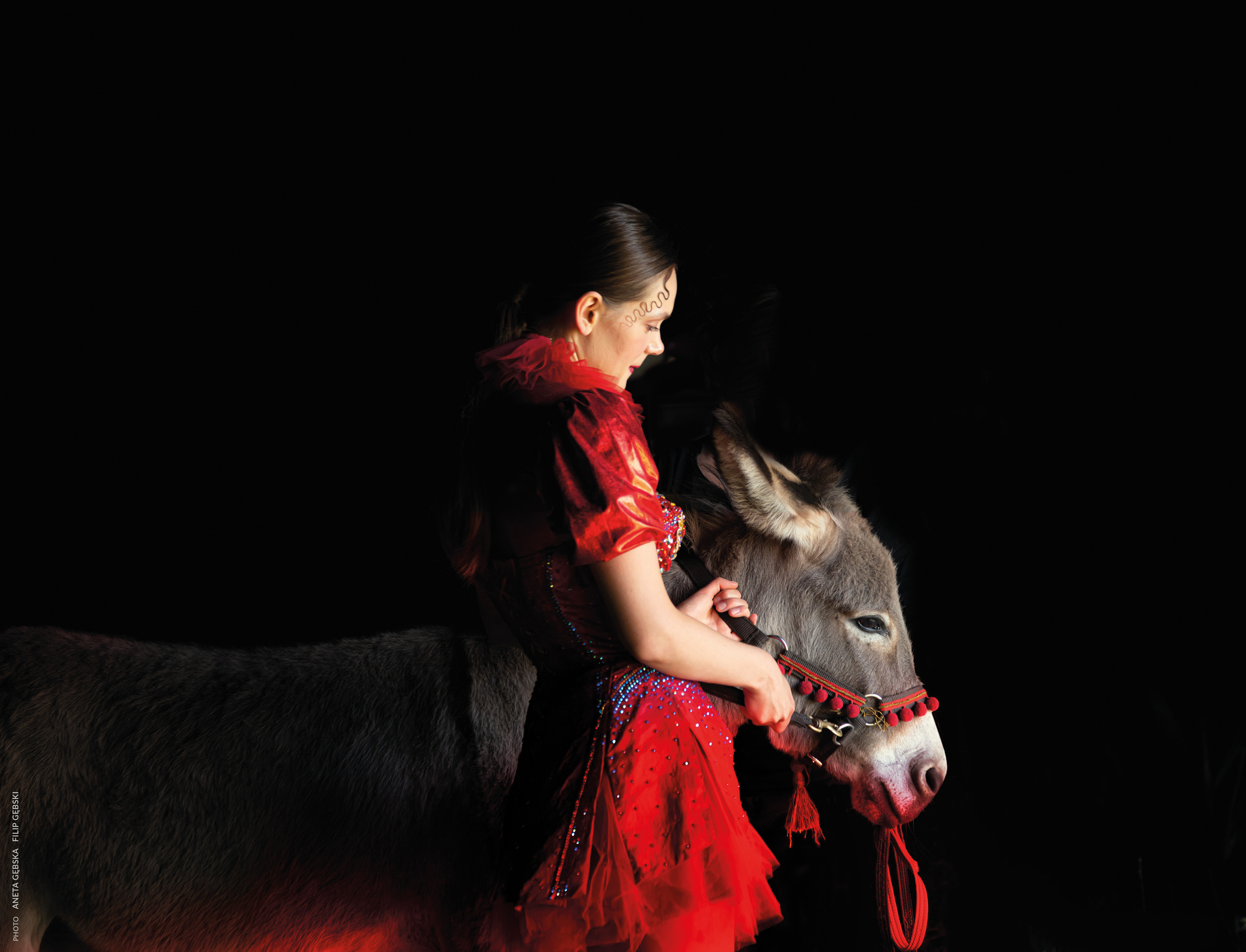 驴叫剧照的剧照