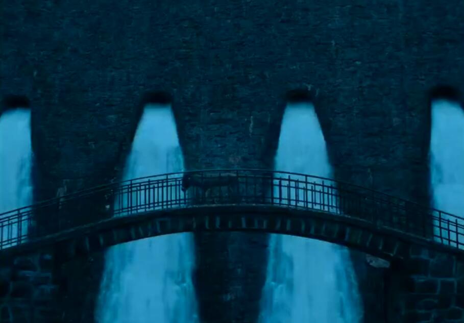 驴叫剧照的剧照