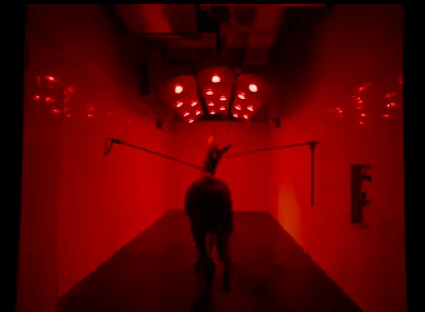 驴叫剧照的剧照