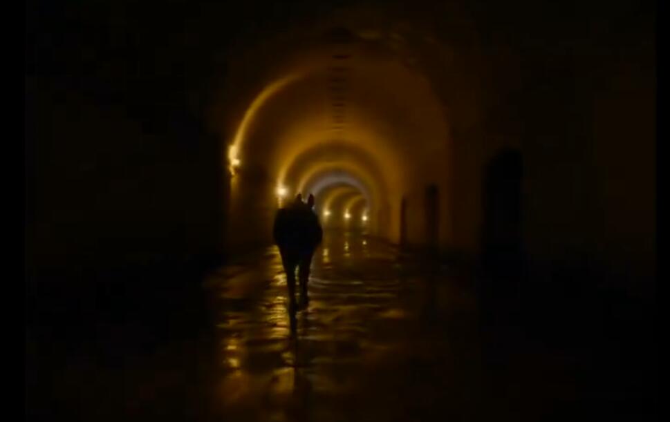 驴叫剧照的剧照