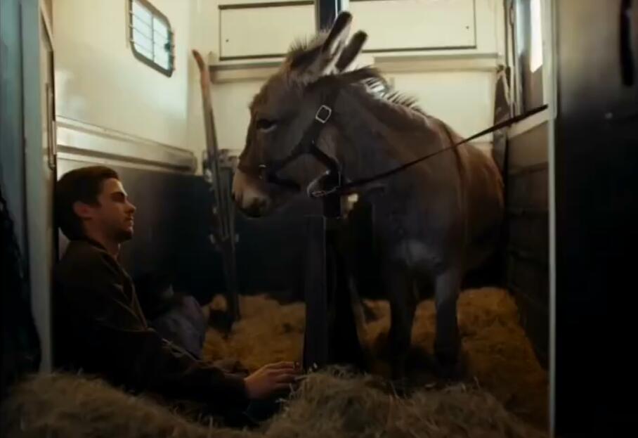 驴叫剧照的剧照