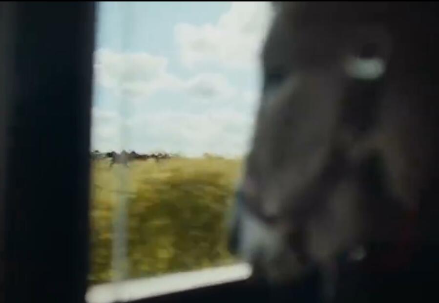 驴叫剧照的剧照