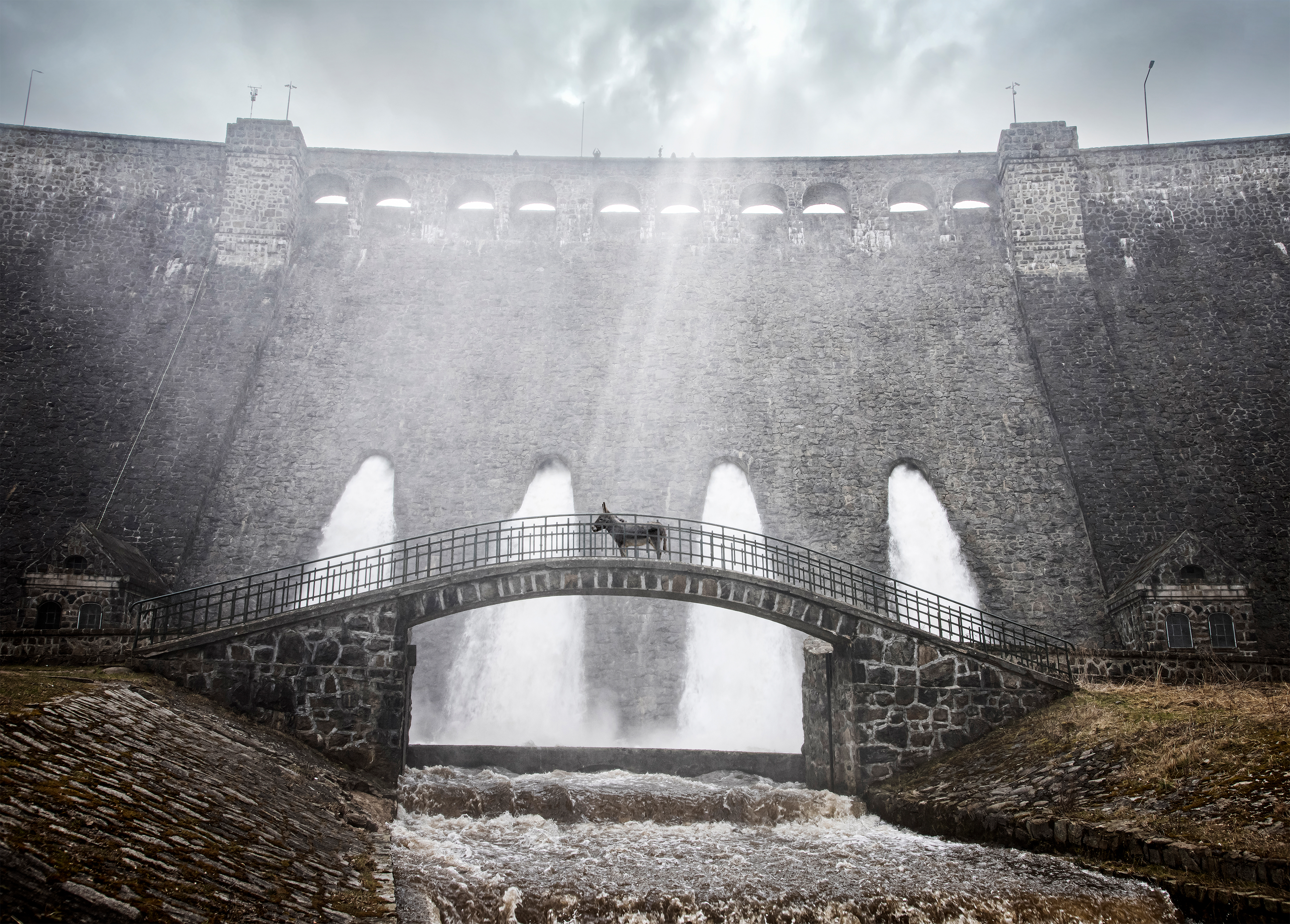 驴叫剧照的剧照