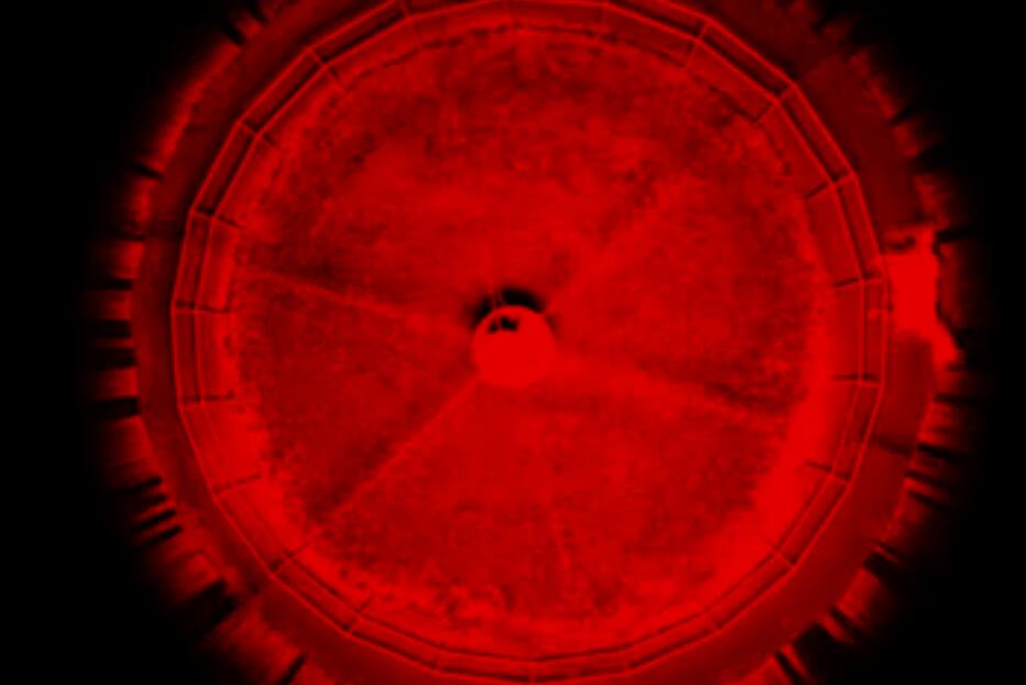 驴叫剧照的剧照