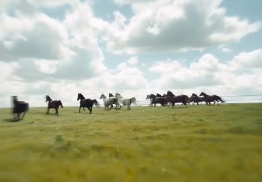 驴叫剧照的剧照