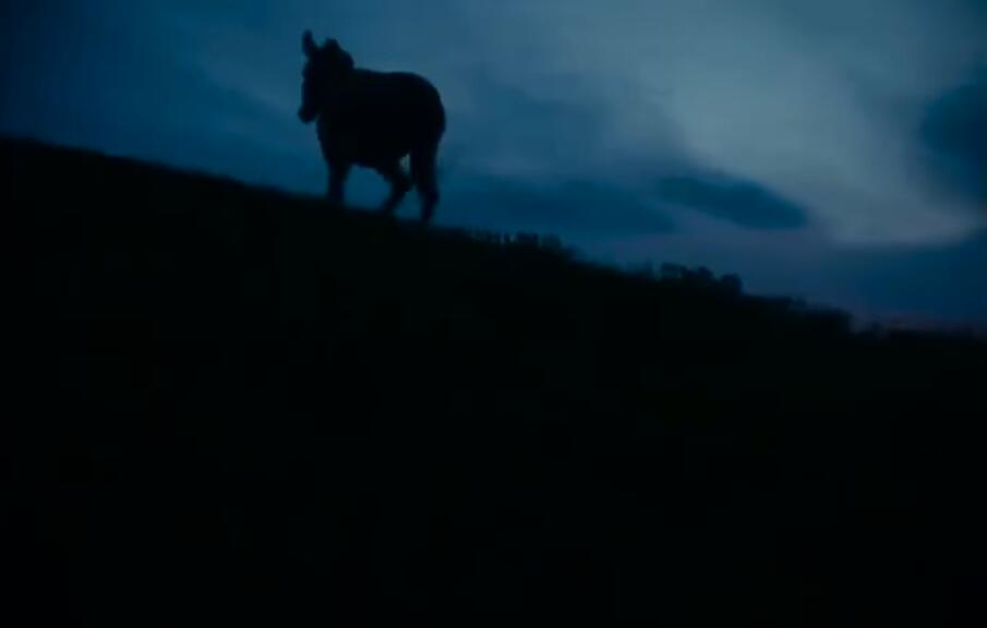 驴叫剧照的剧照