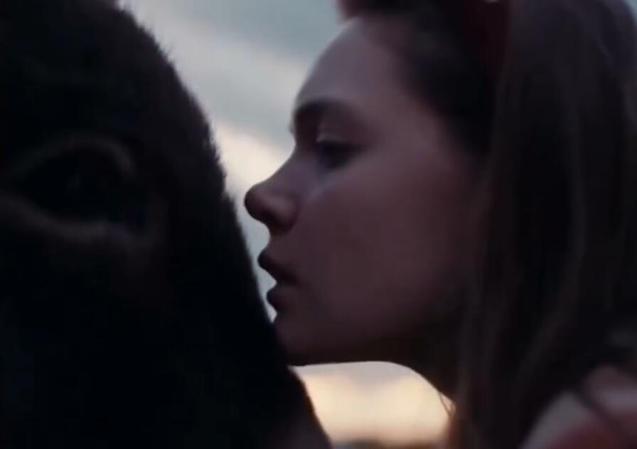 驴叫剧照的剧照