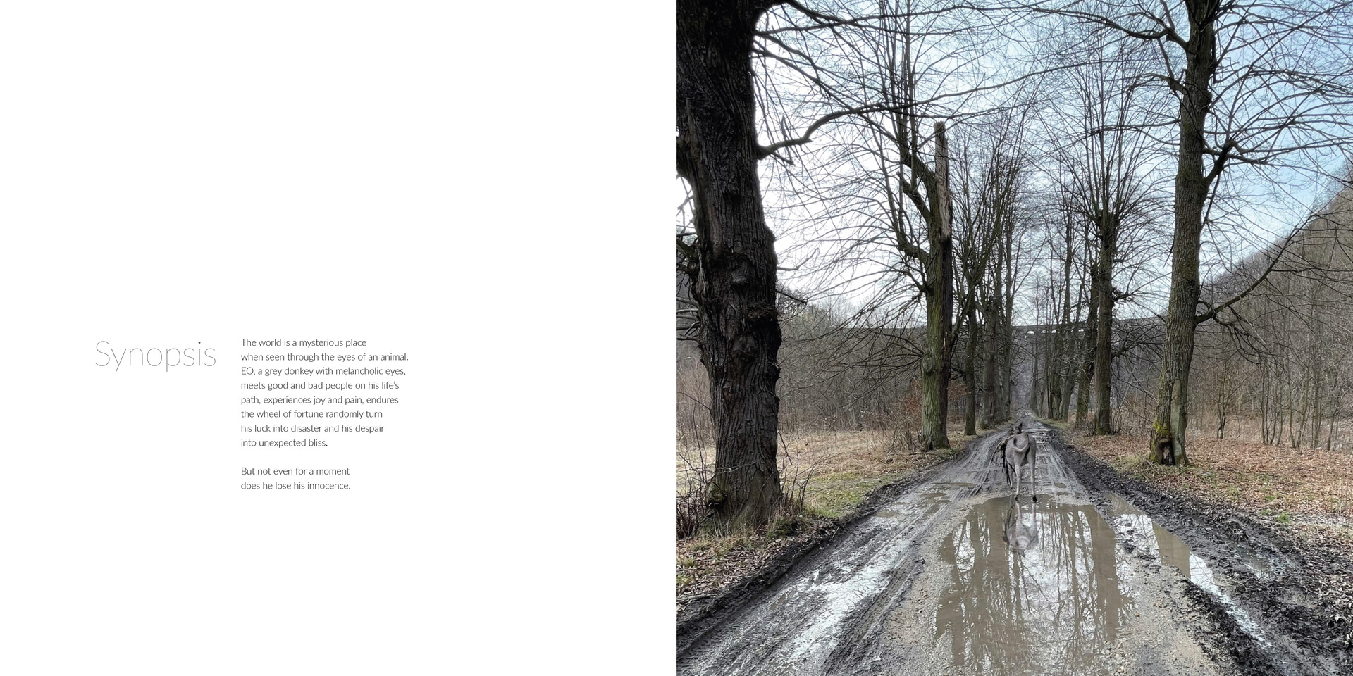 驴叫剧照的剧照