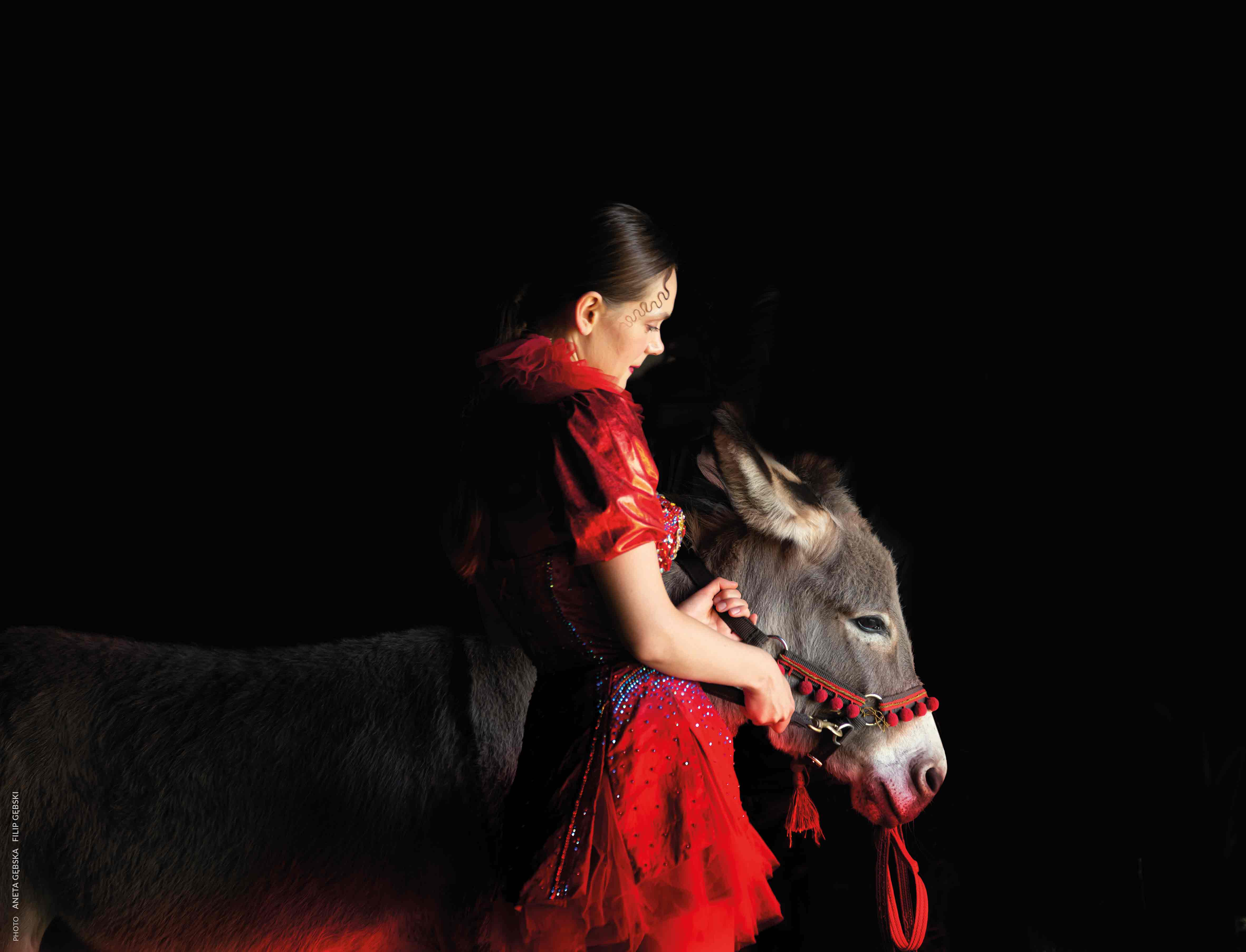 驴叫剧照的剧照