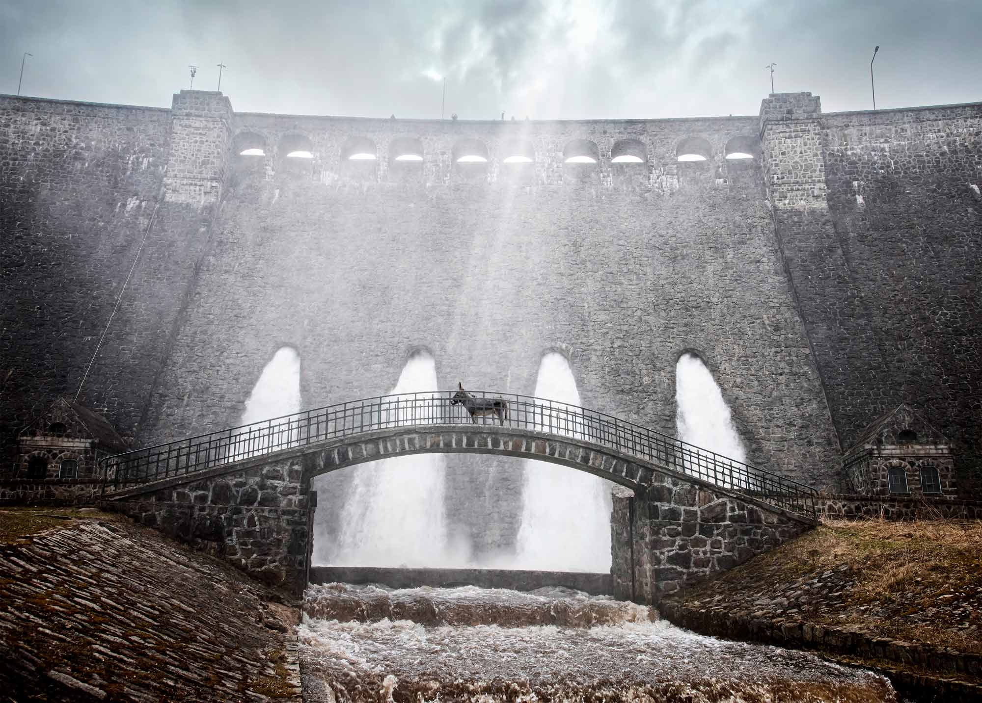 驴叫剧照的剧照