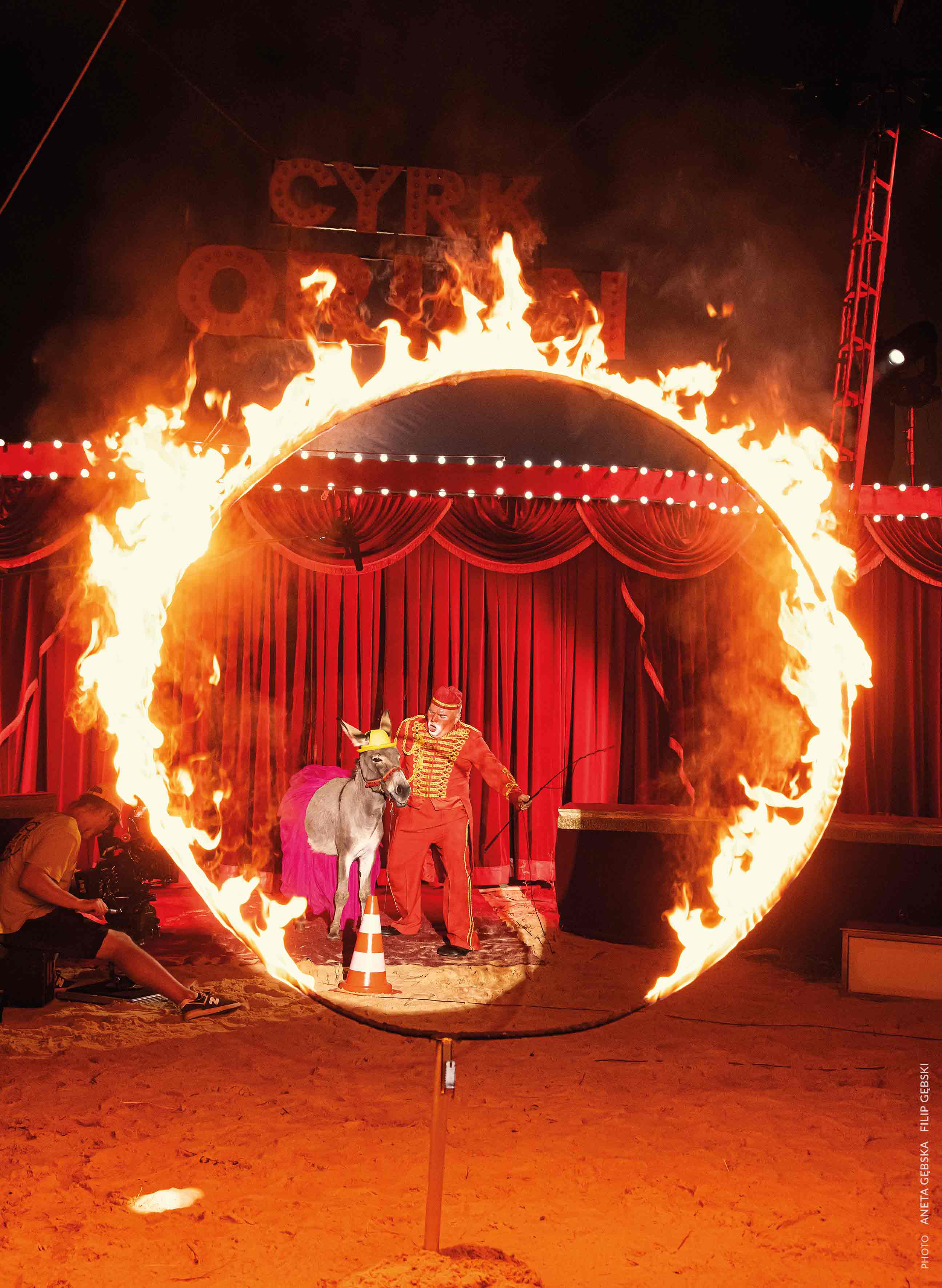 驴叫剧照的剧照