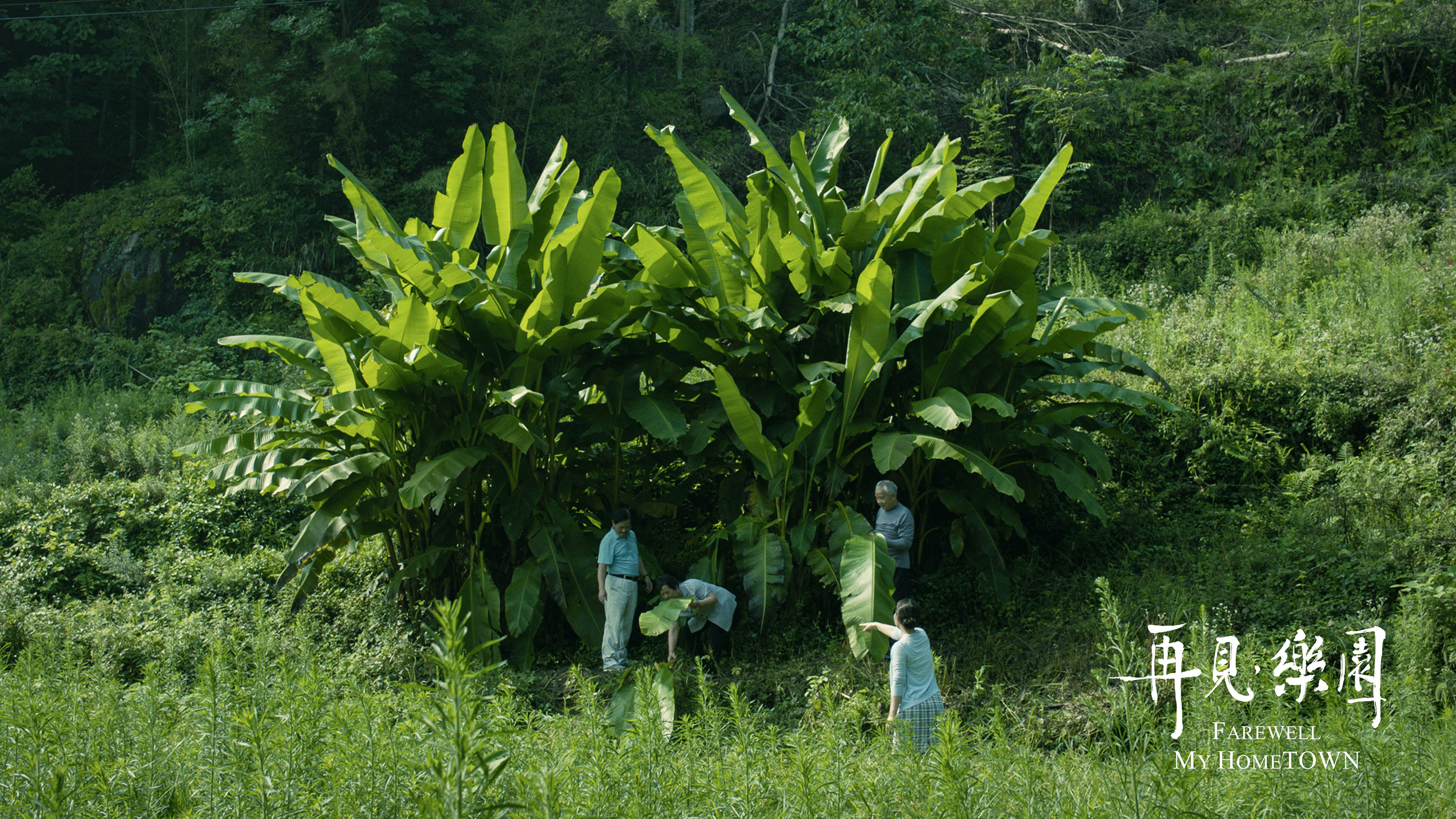 再见，乐园剧照的剧照