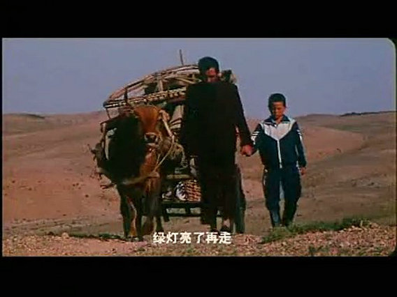 季风中的马剧照的剧照