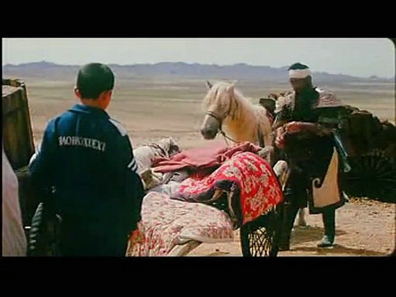 季风中的马剧照的剧照