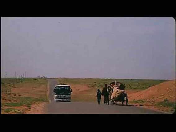 季风中的马剧照的剧照