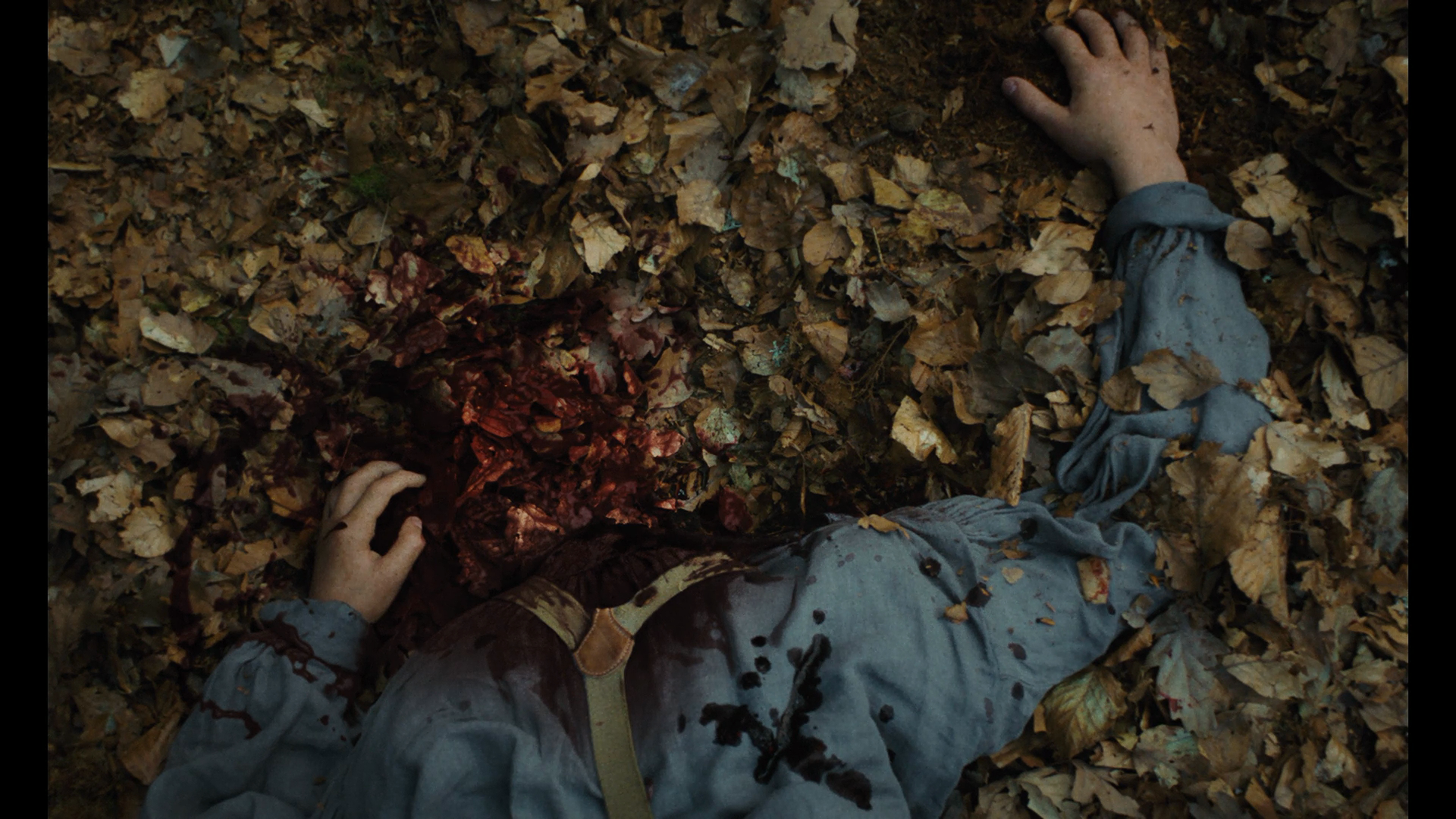 布鲁诺·里德尔，杀人犯的自白剧照的剧照