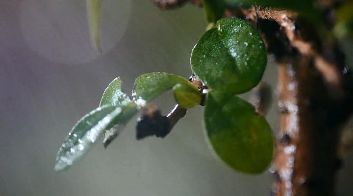 你是我的归宿剧照的剧照