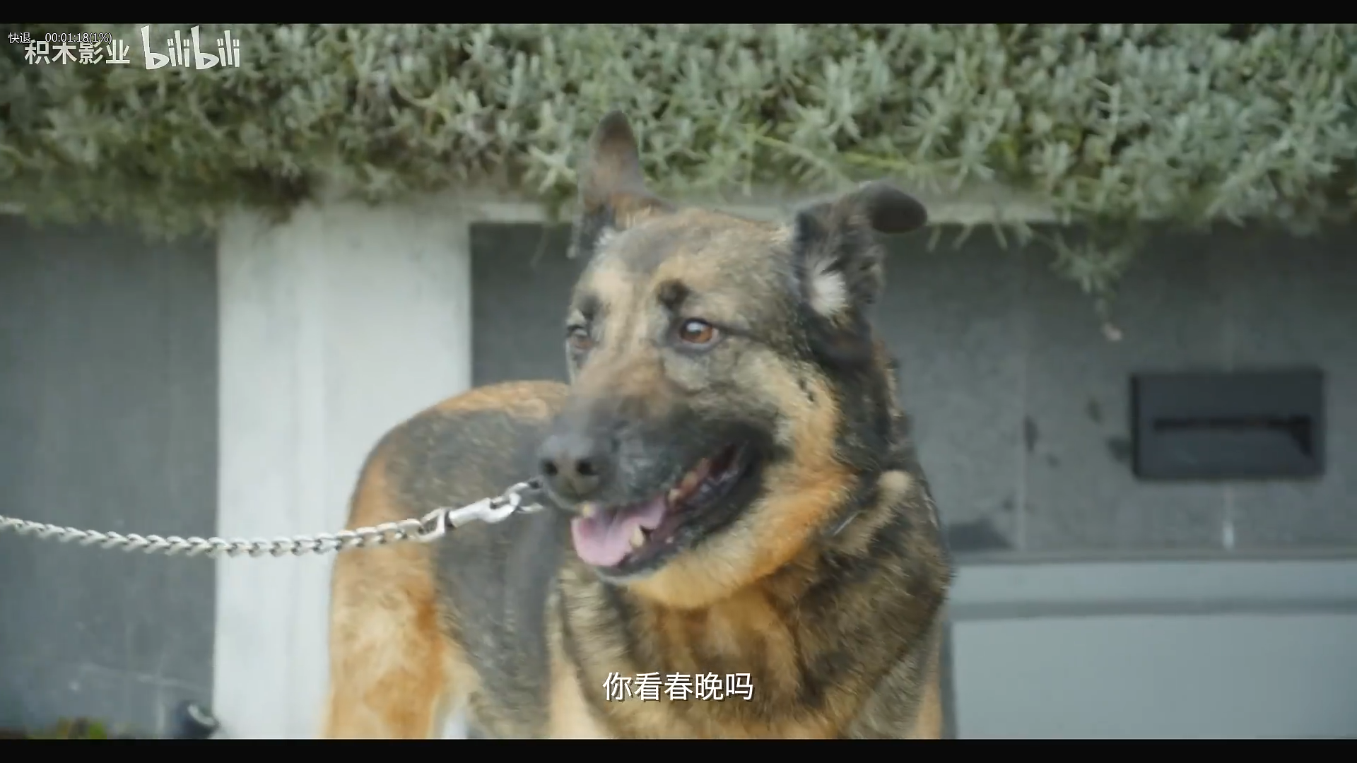 一场很（没）有必要的春晚剧照的剧照