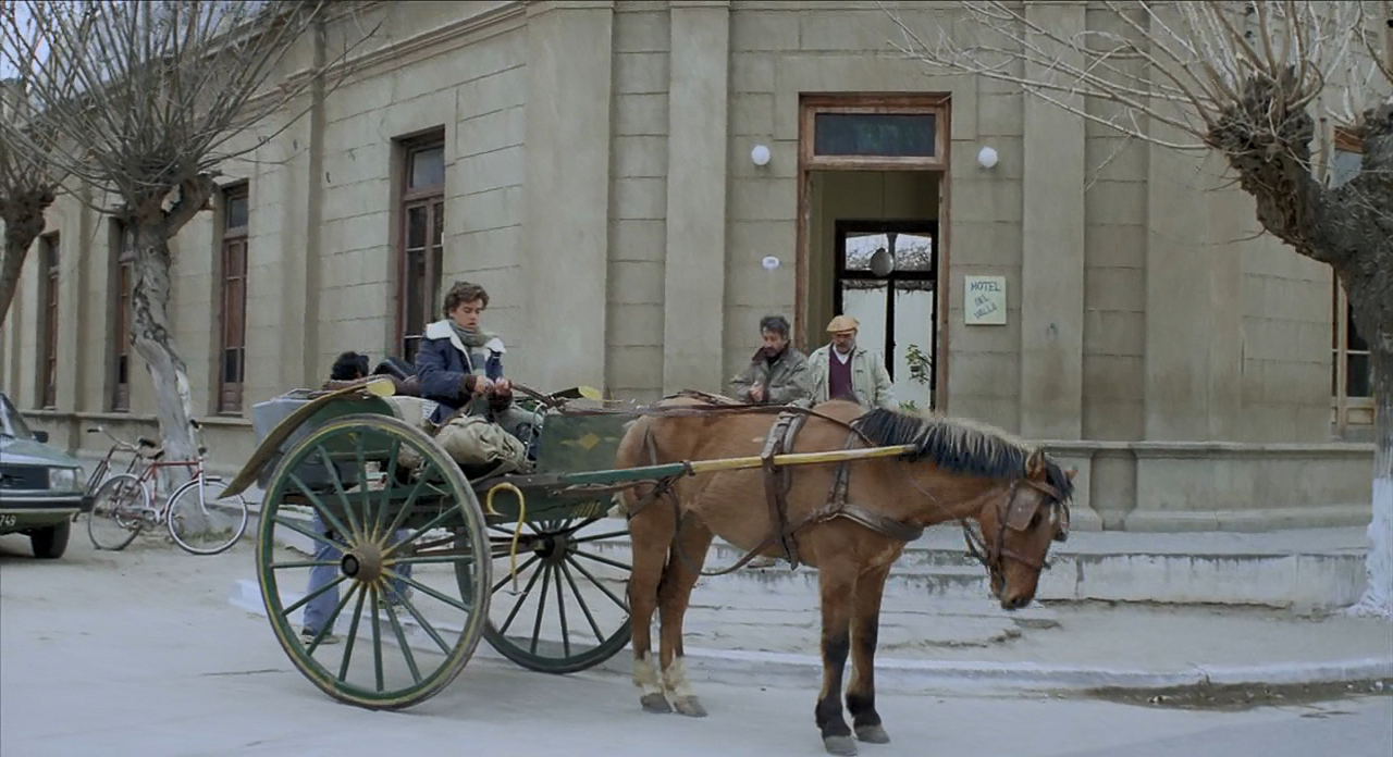 世界上的某个地方剧照的剧照