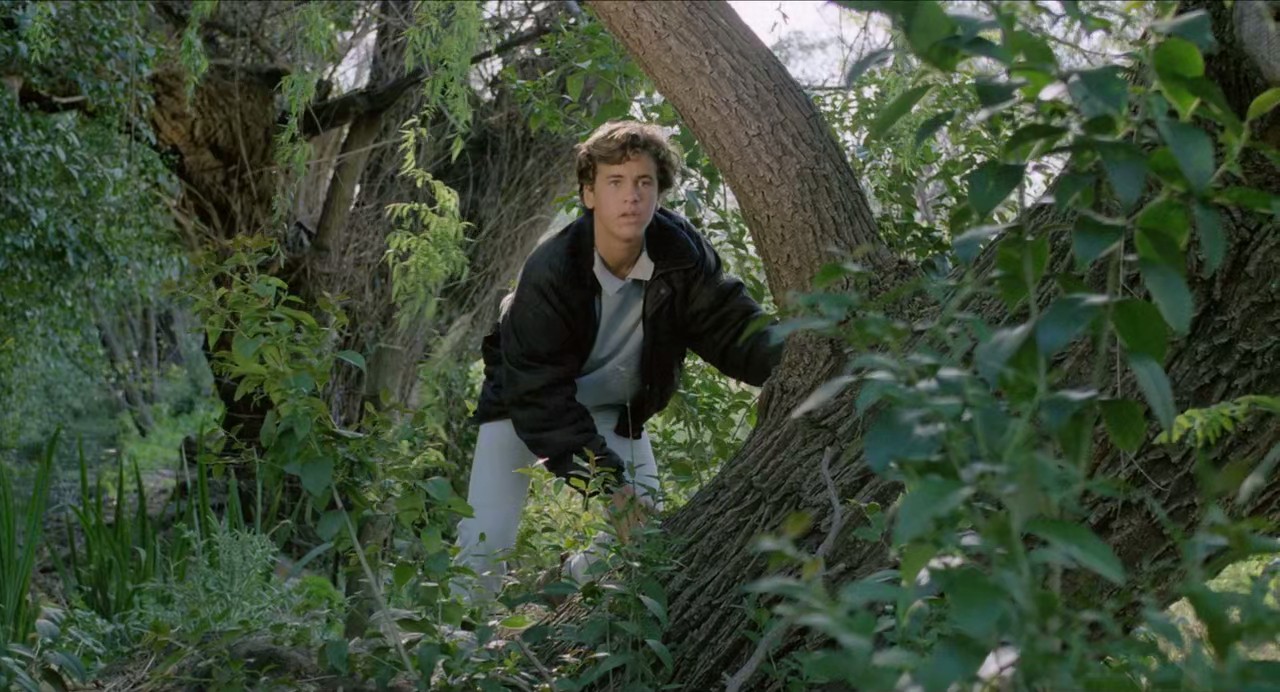 世界上的某个地方剧照的剧照