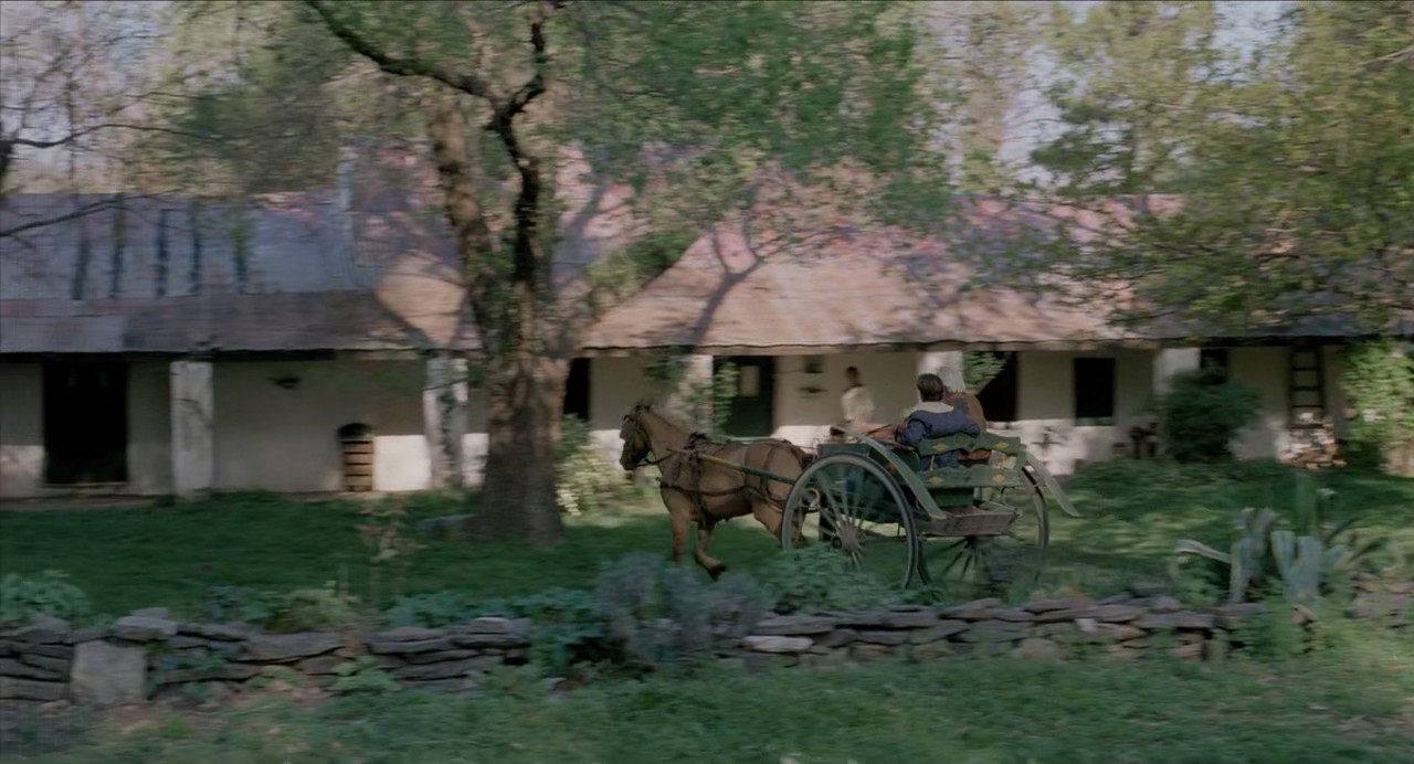 世界上的某个地方剧照的剧照