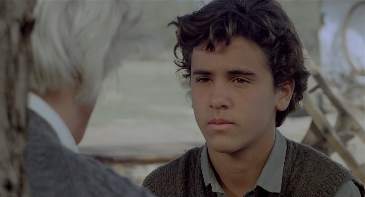 世界上的某个地方剧照的剧照