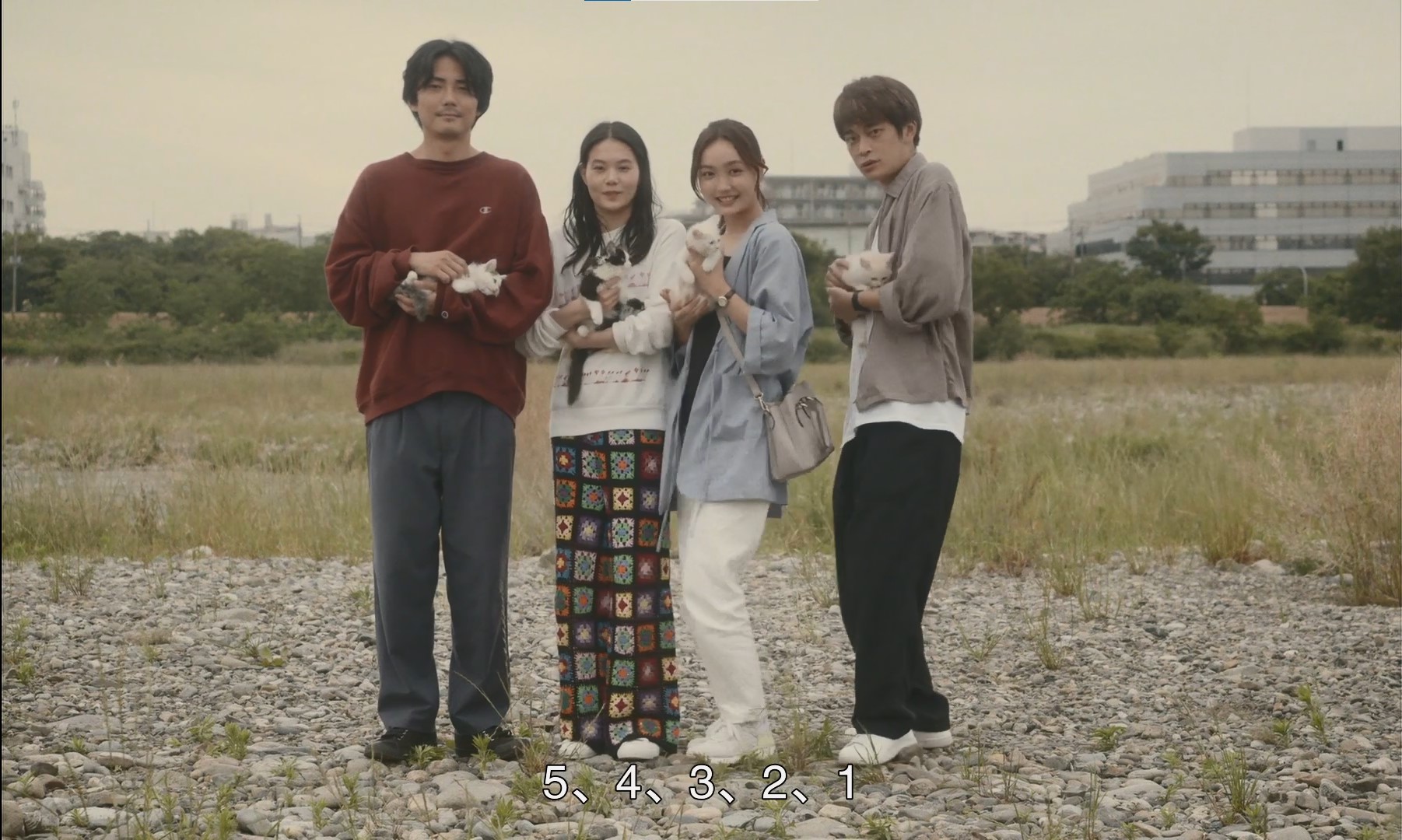 猫猫逃走了剧照的剧照