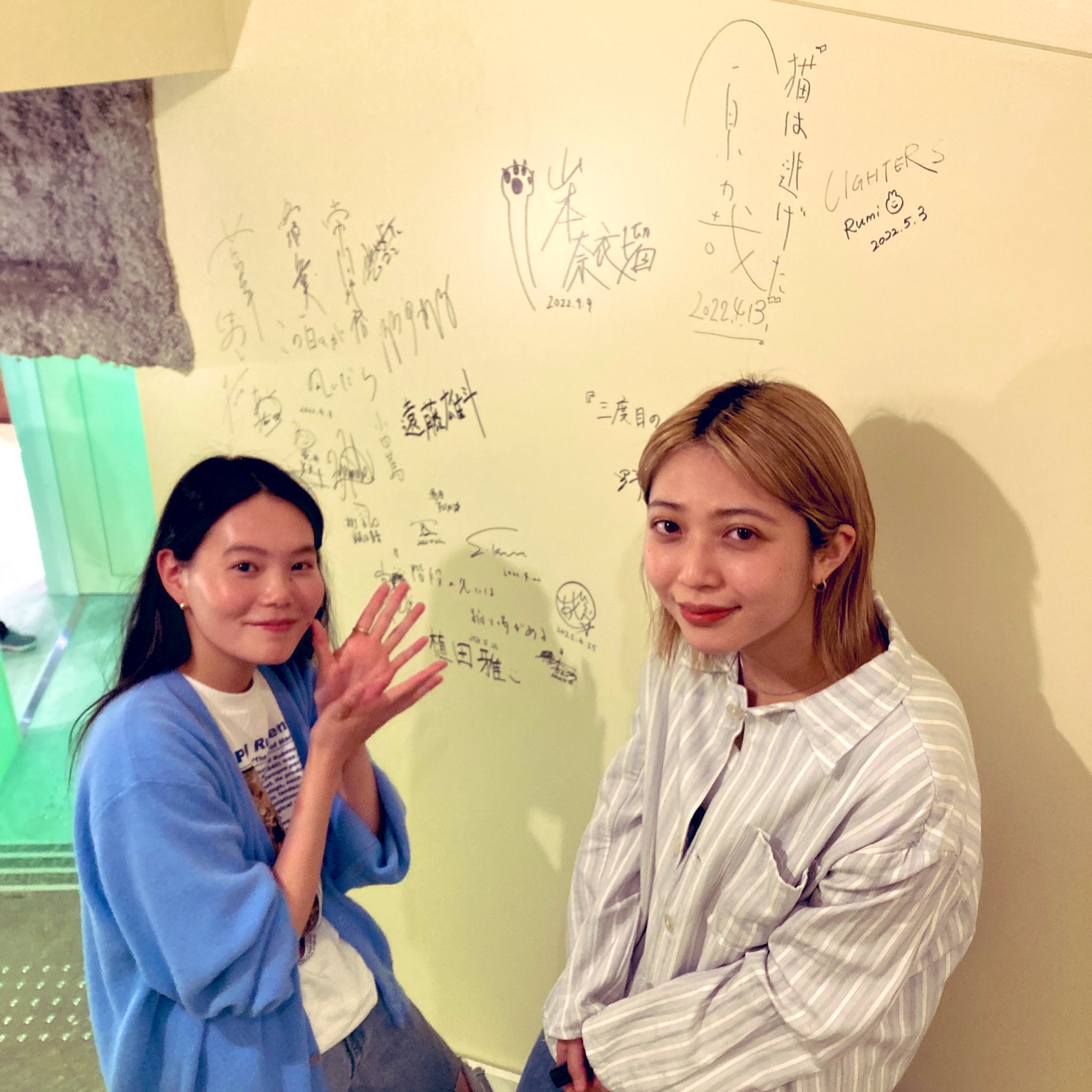 猫猫逃走了剧照的剧照