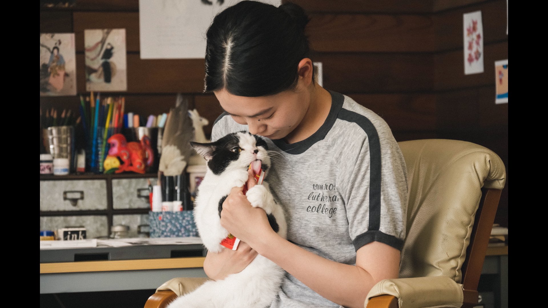 猫猫逃走了剧照的剧照