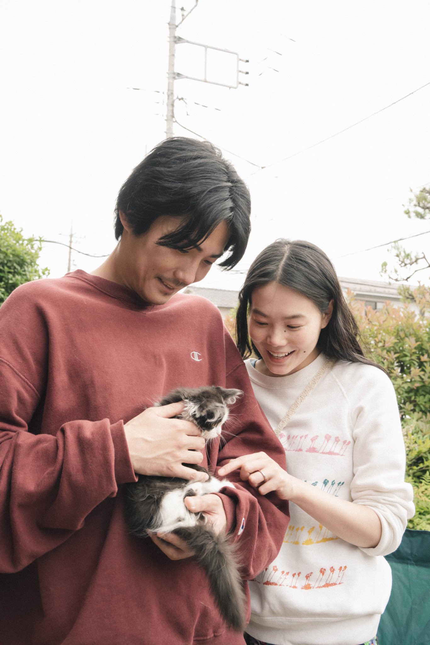 猫猫逃走了剧照的剧照