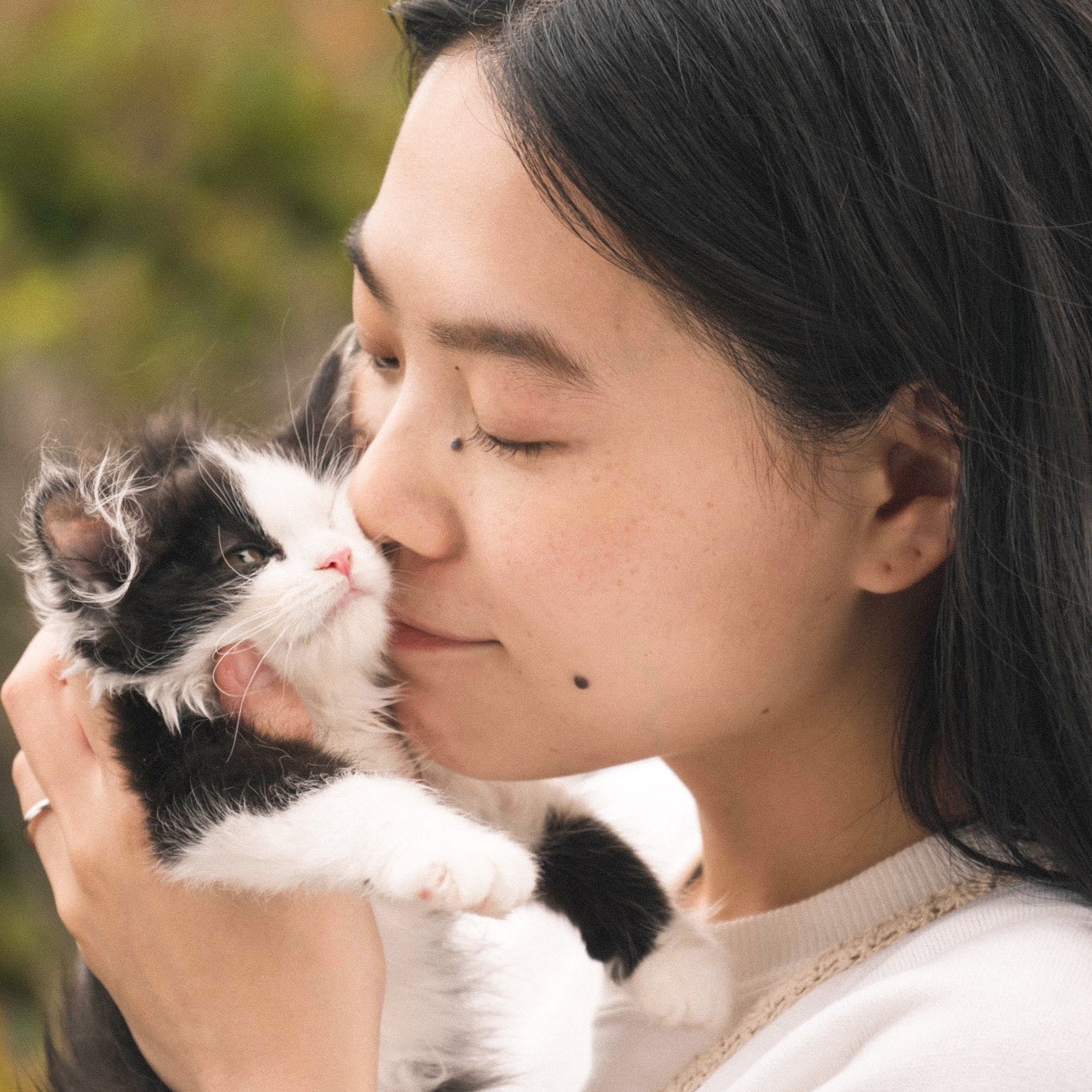 猫猫逃走了剧照的剧照