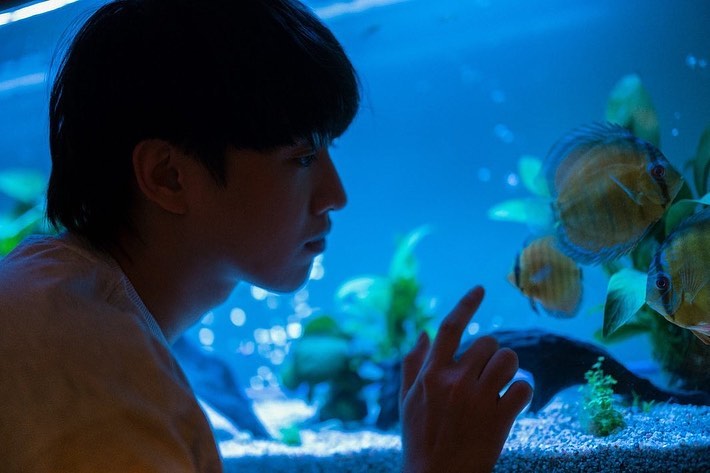 巨星养成记剧照的剧照