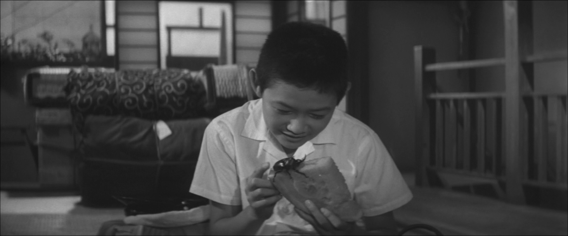 秋之来临剧照的剧照