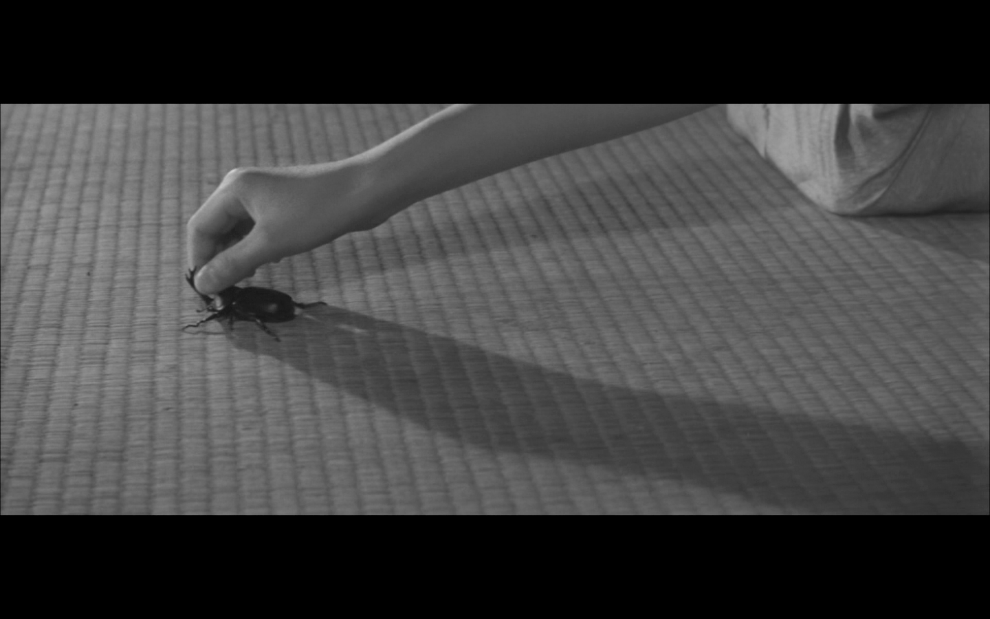 秋之来临剧照的剧照