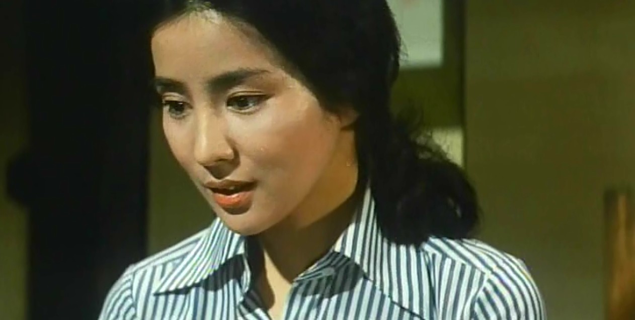 寅次郎的故事13：寅次郎失恋记剧照的剧照