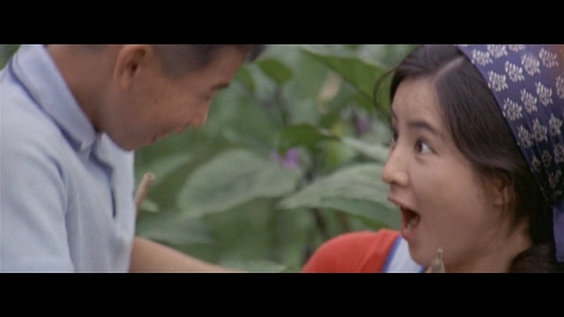 寅次郎的故事13：寅次郎失恋记剧照的剧照