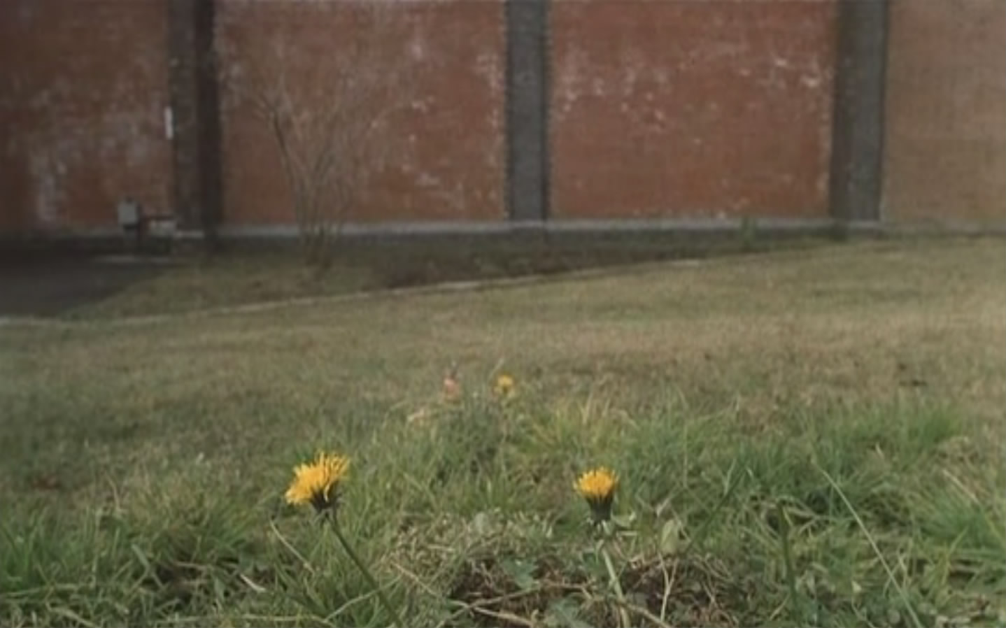 刑务所之中剧照的剧照