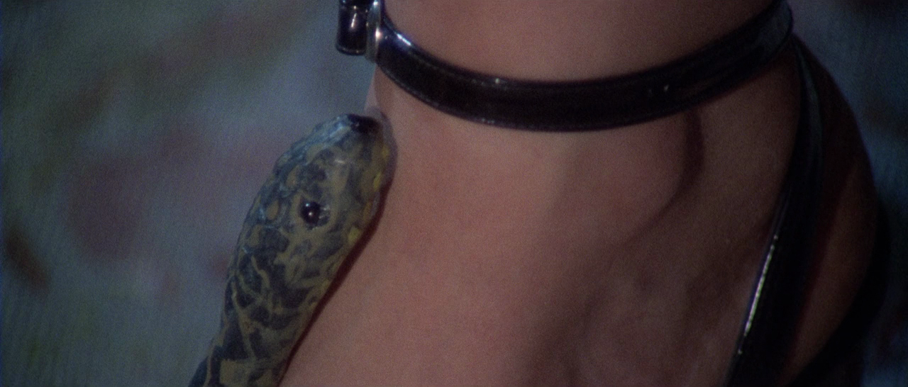 玛丽的白色连衣裙剧照的剧照