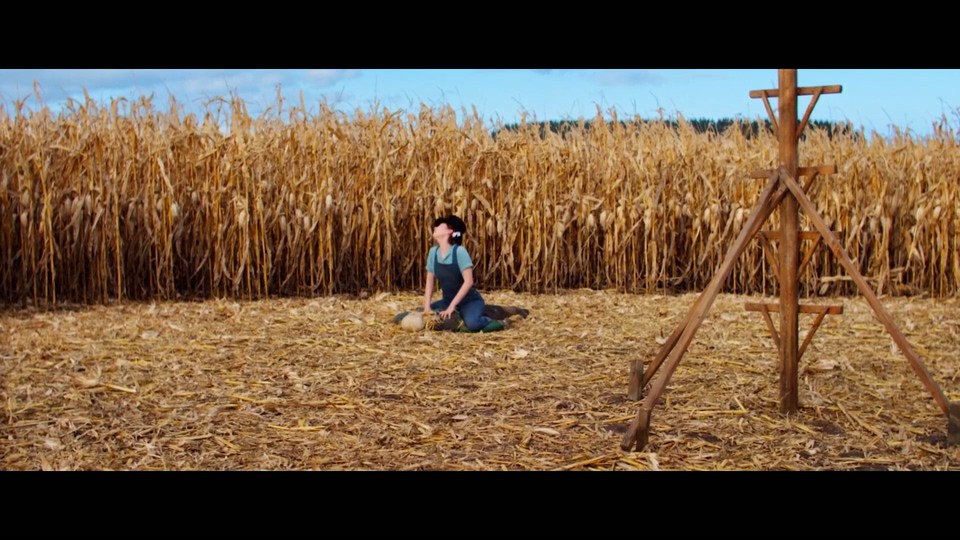 珀尔剧照的剧照