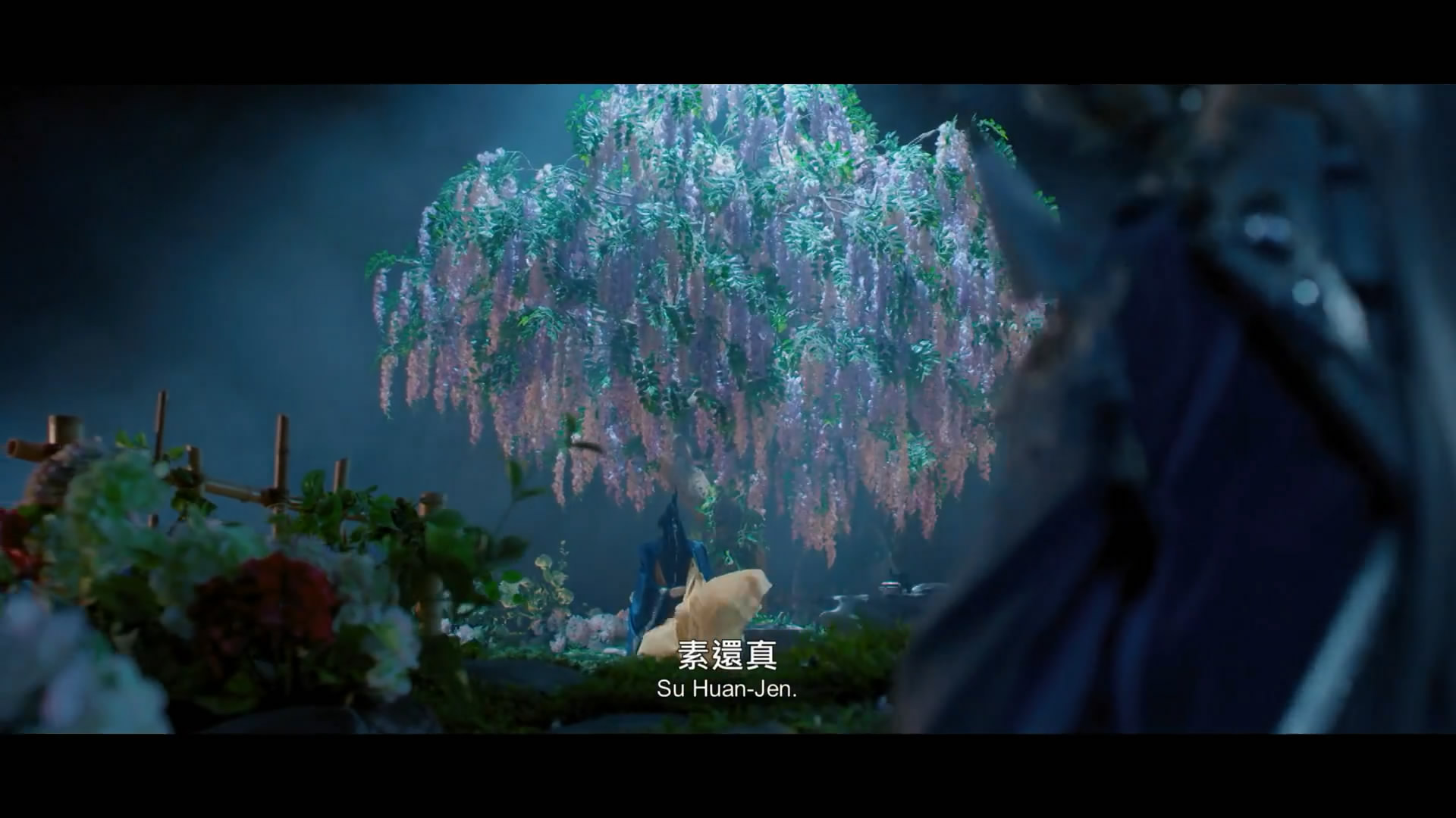 素还真剧照的剧照