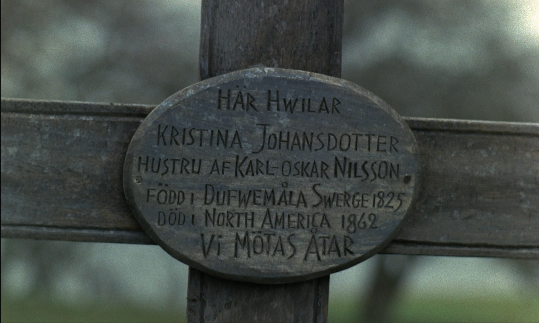 新大陆剧照的剧照