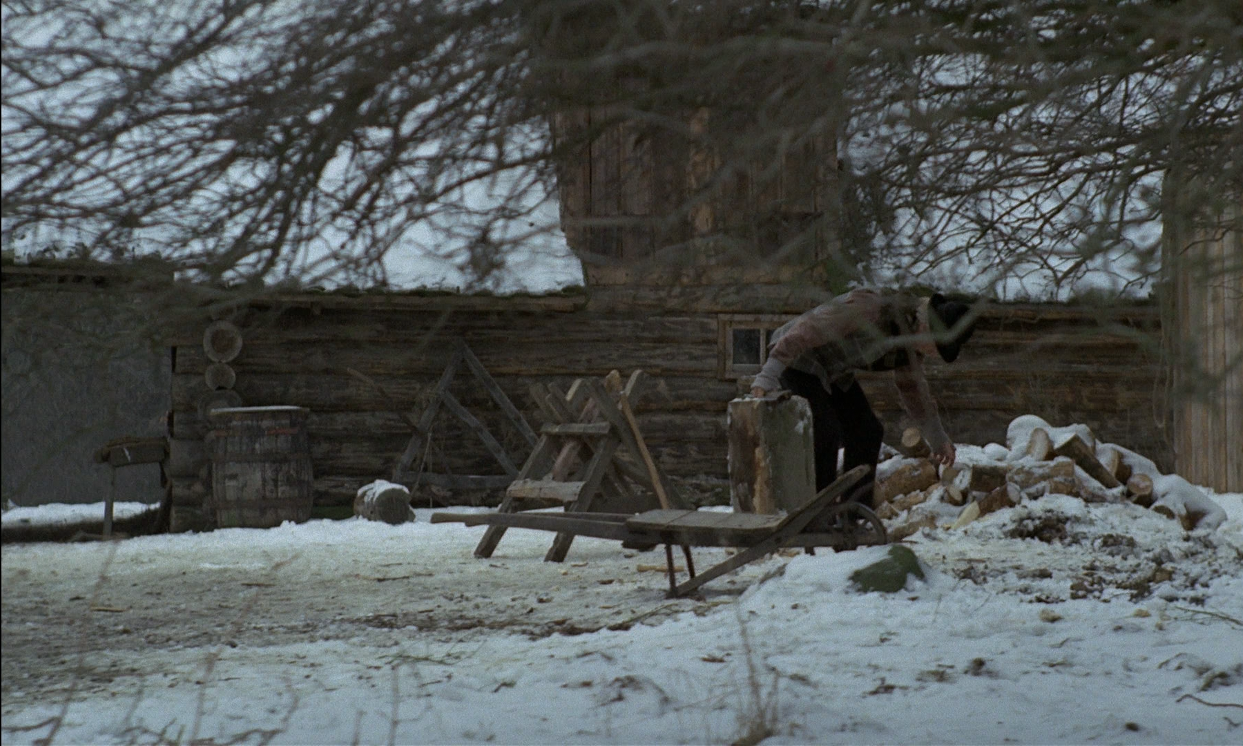 新大陆剧照的剧照